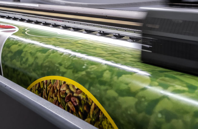 Graphic Design & Print